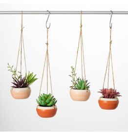 Hanging Potted Succulent