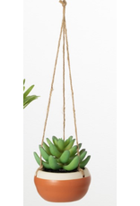 Hanging Potted Succulent