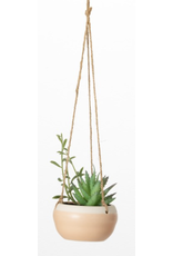 Hanging Potted Succulent