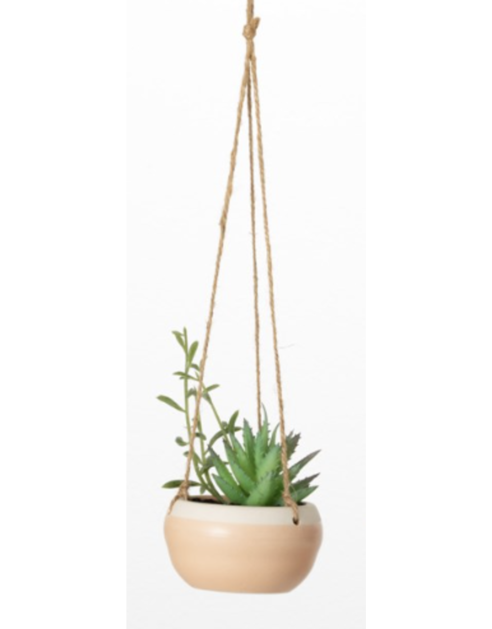 Hanging Potted Succulent