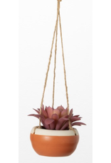 Hanging Potted Succulent