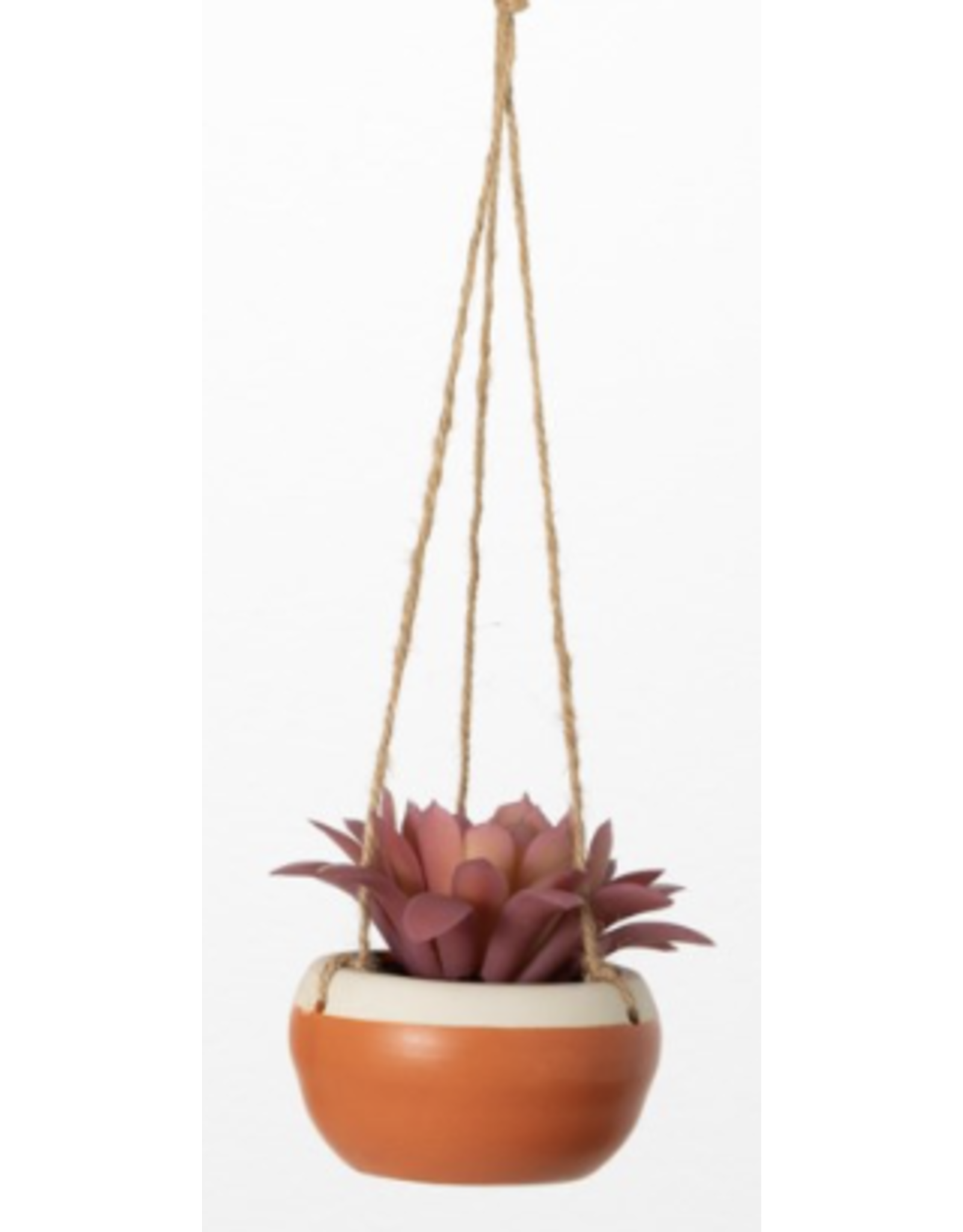 Hanging Potted Succulent