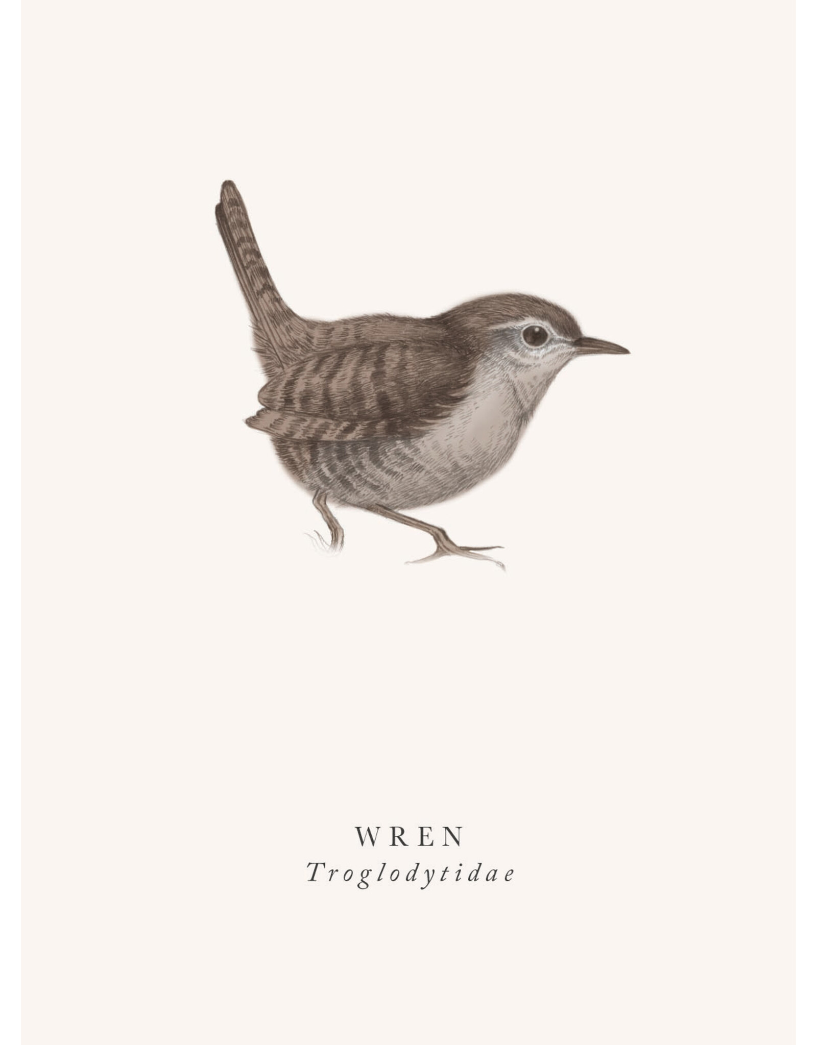 Just Because - Wren