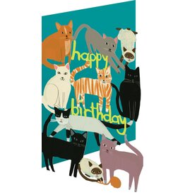 Birthday - Happy Birthday Cats