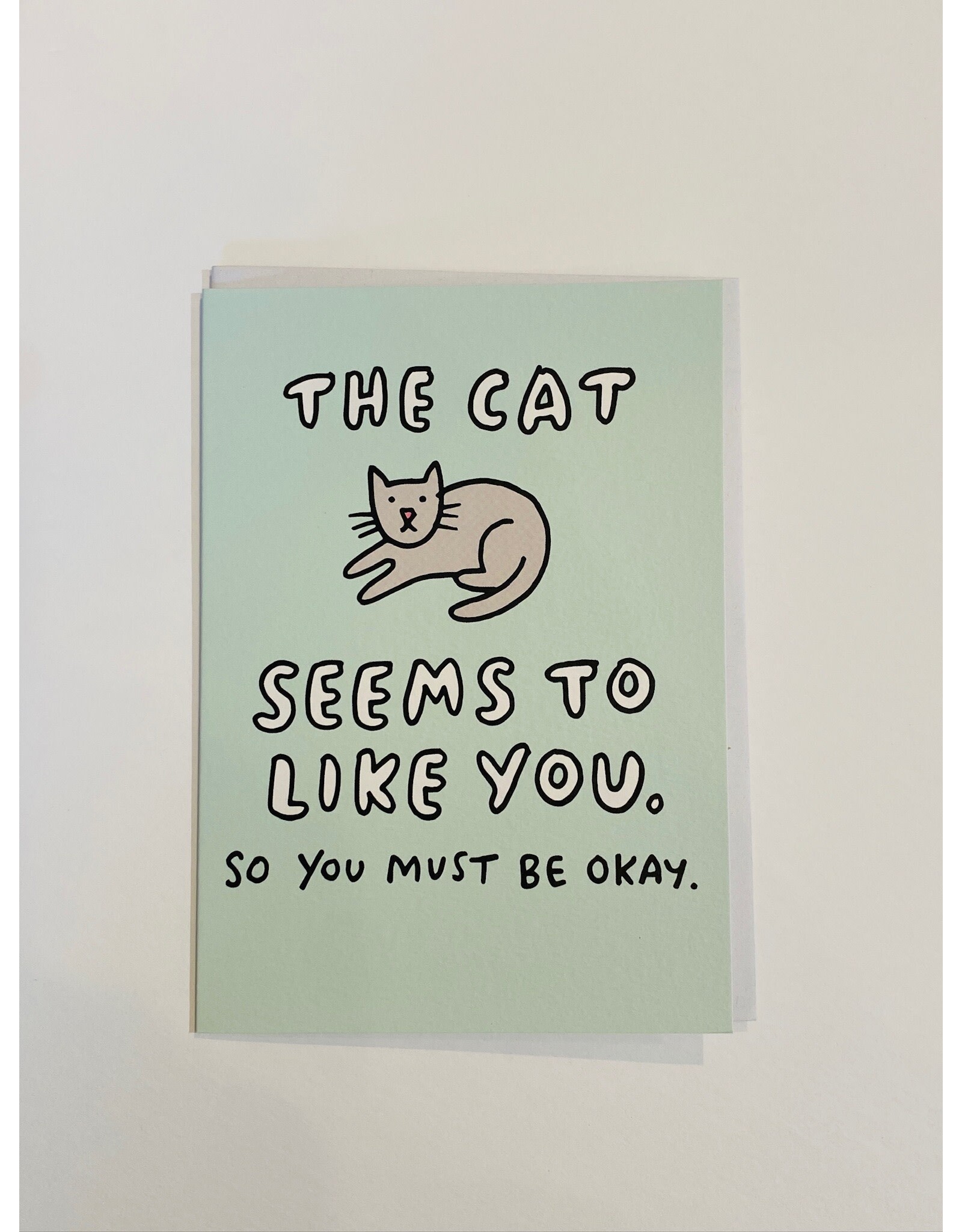Valentine's Day - The Cat Likes You