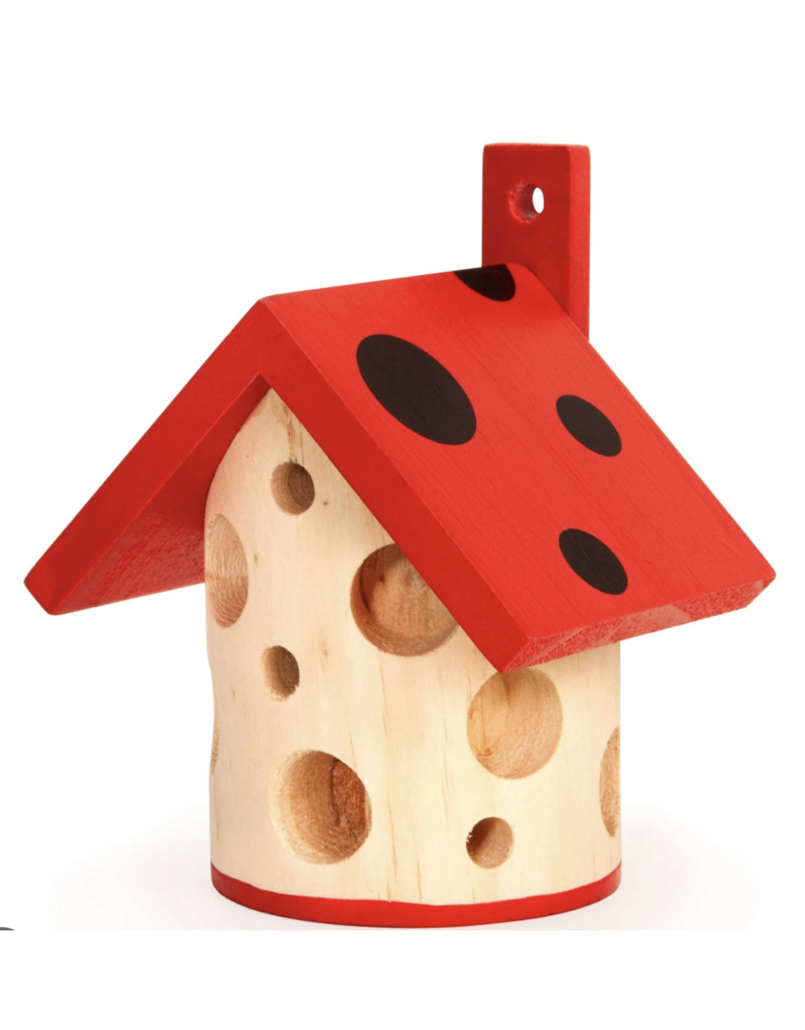 Little Ladybug House