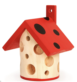 Little Ladybug House