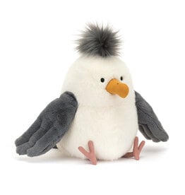 Chip Seagull