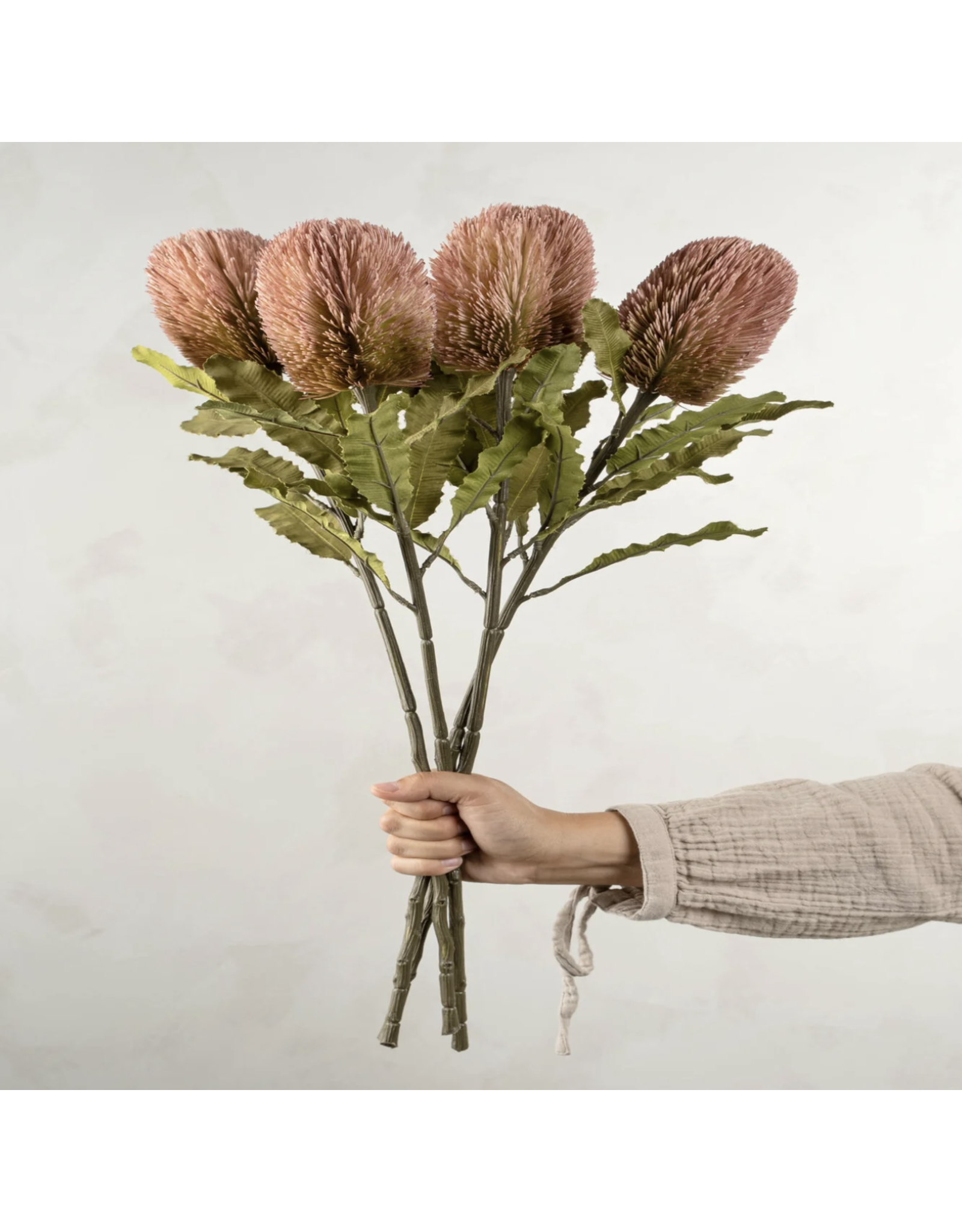 Banksia Floral Stem - Pink