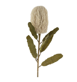 Banksia Floral Stem - Cream