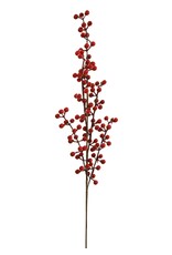 Red Spray Berries