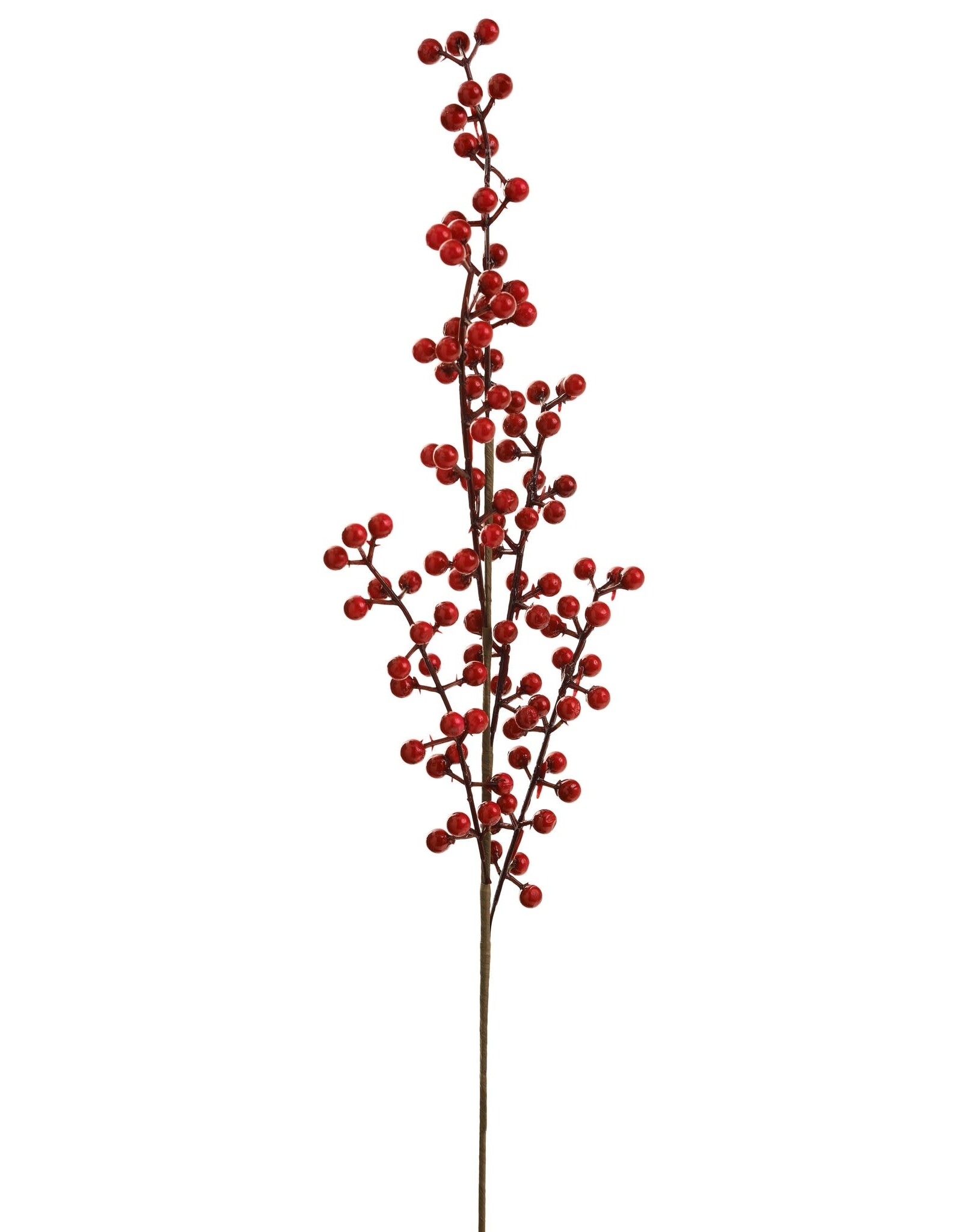 Red Spray Berries