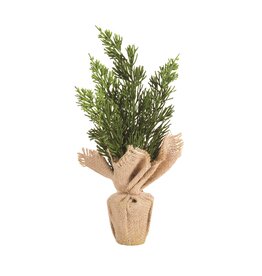 Potted Floral - Cedar