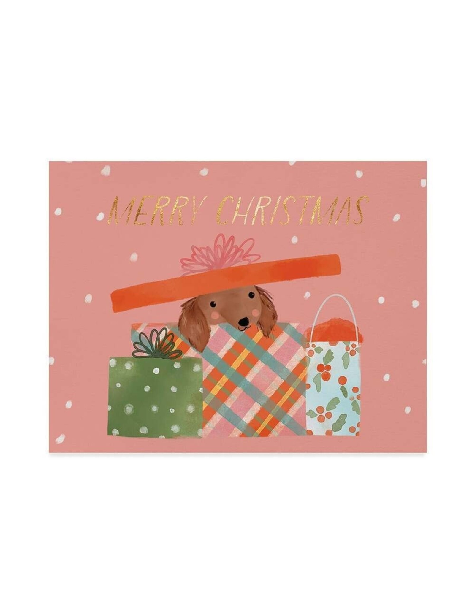 Christmas - Paw fect Gift