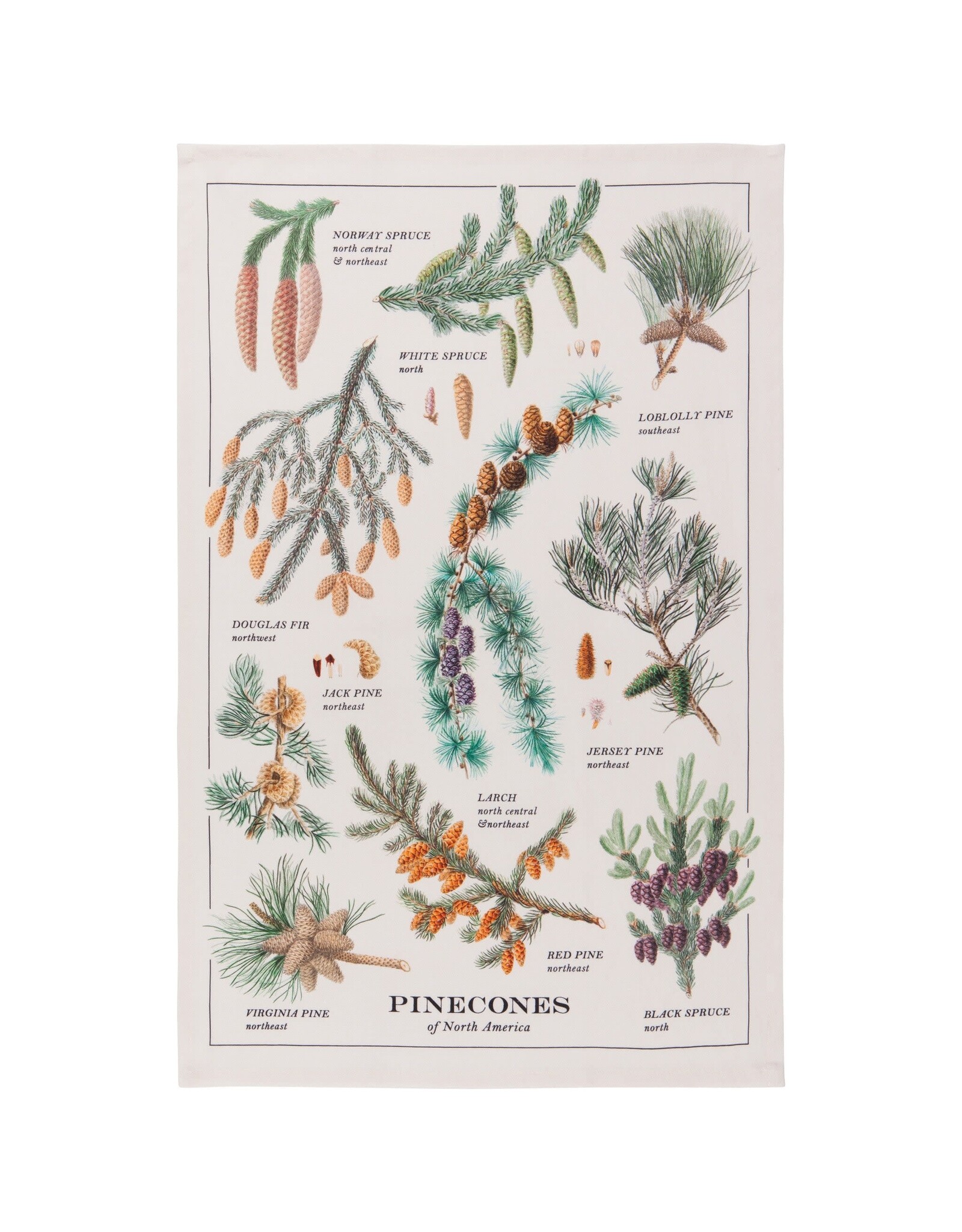 Pinecones Printed Dishtowel