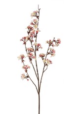Plum Blossom Spray