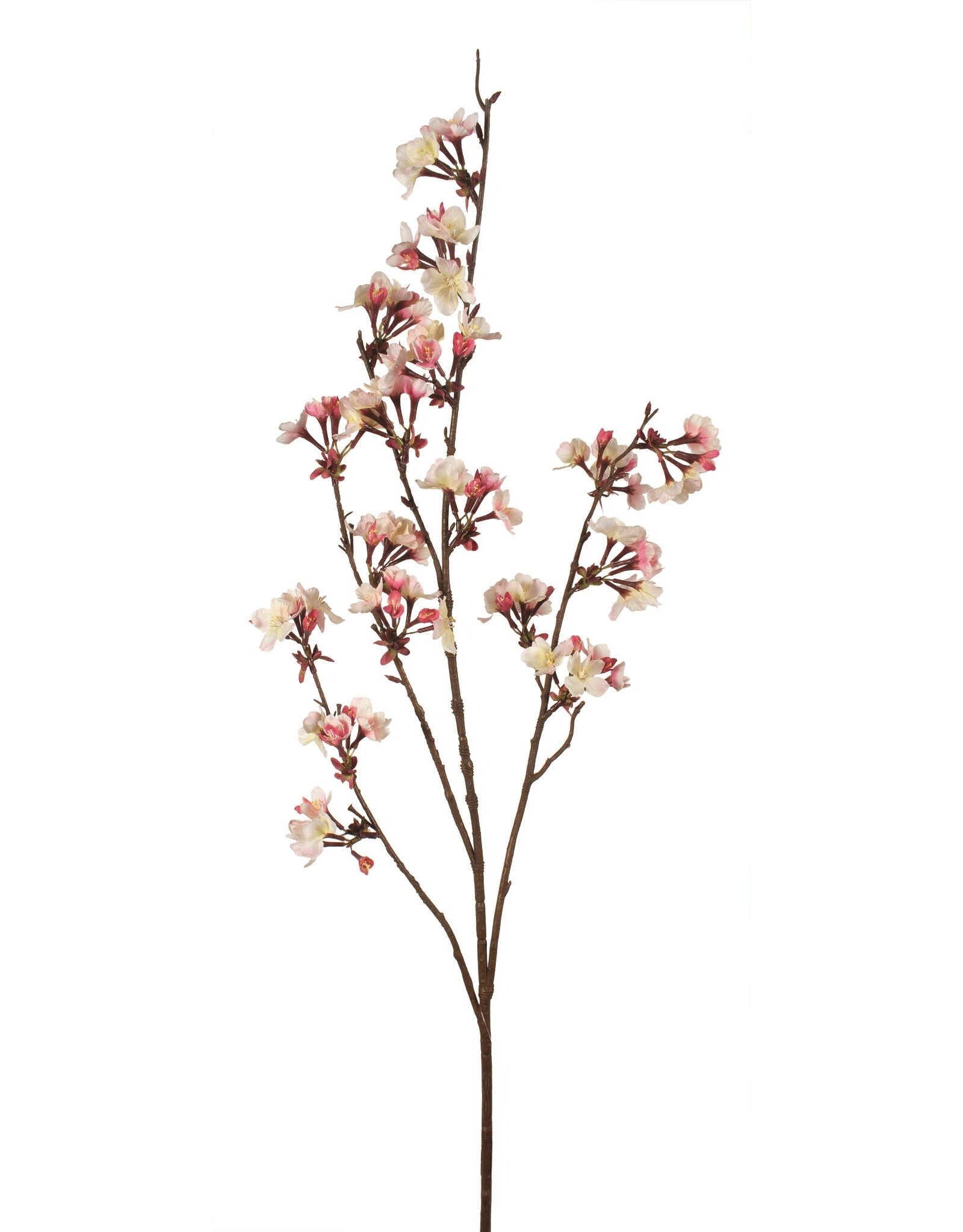 Plum Blossom Spray