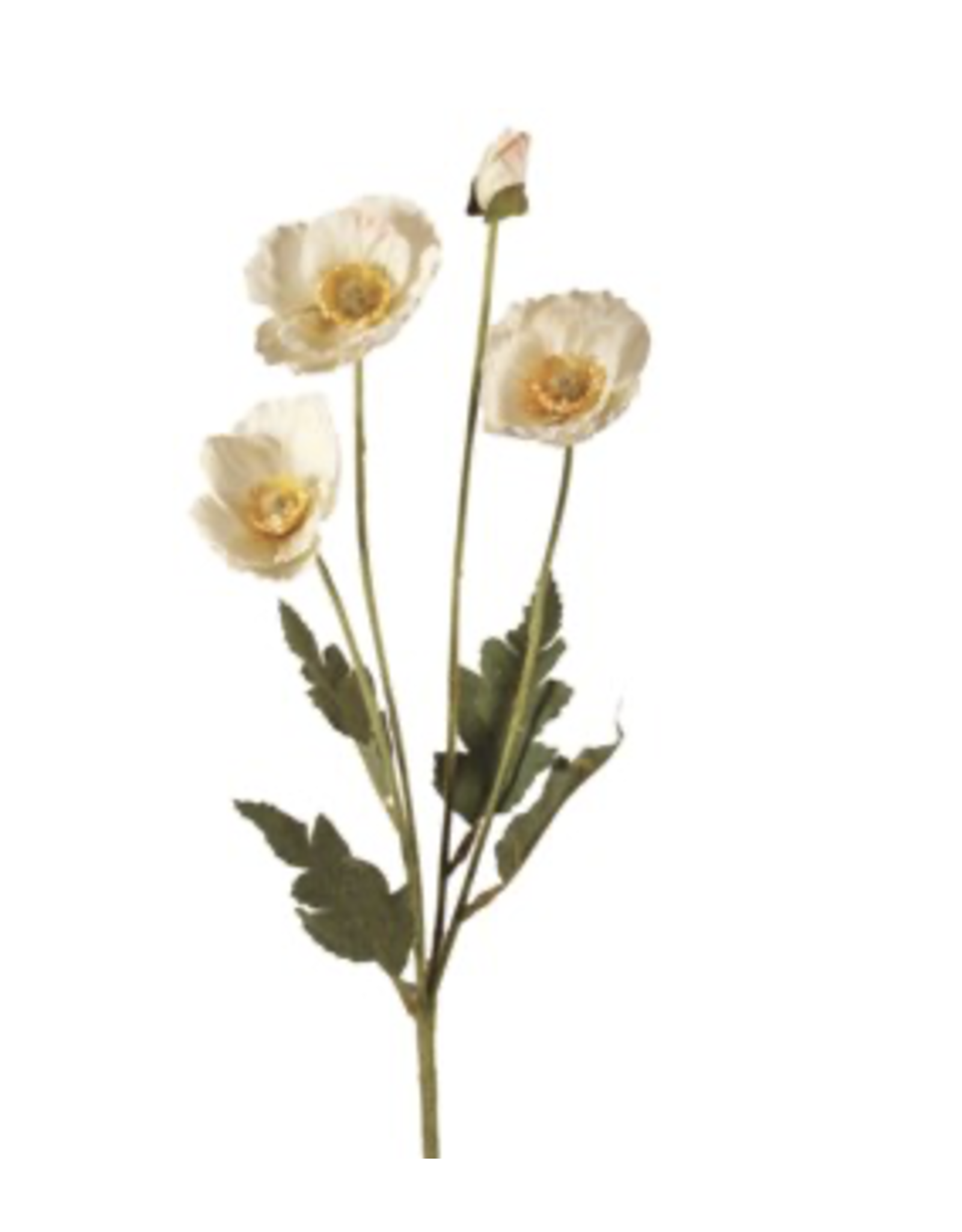 White Poppy Spray