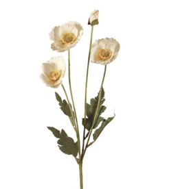 White Poppy Spray
