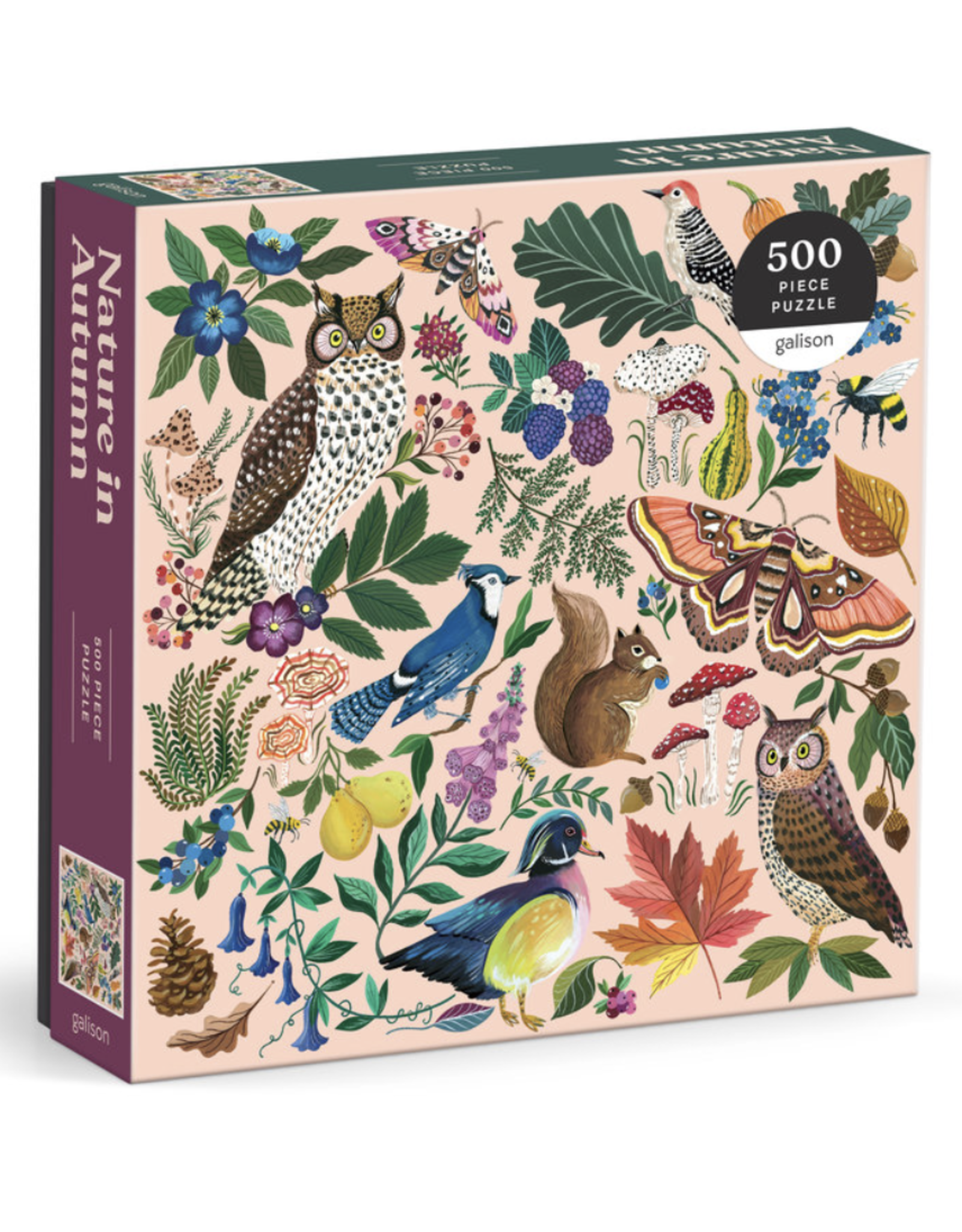 Nature In Autumn 500 Piece Puzzle