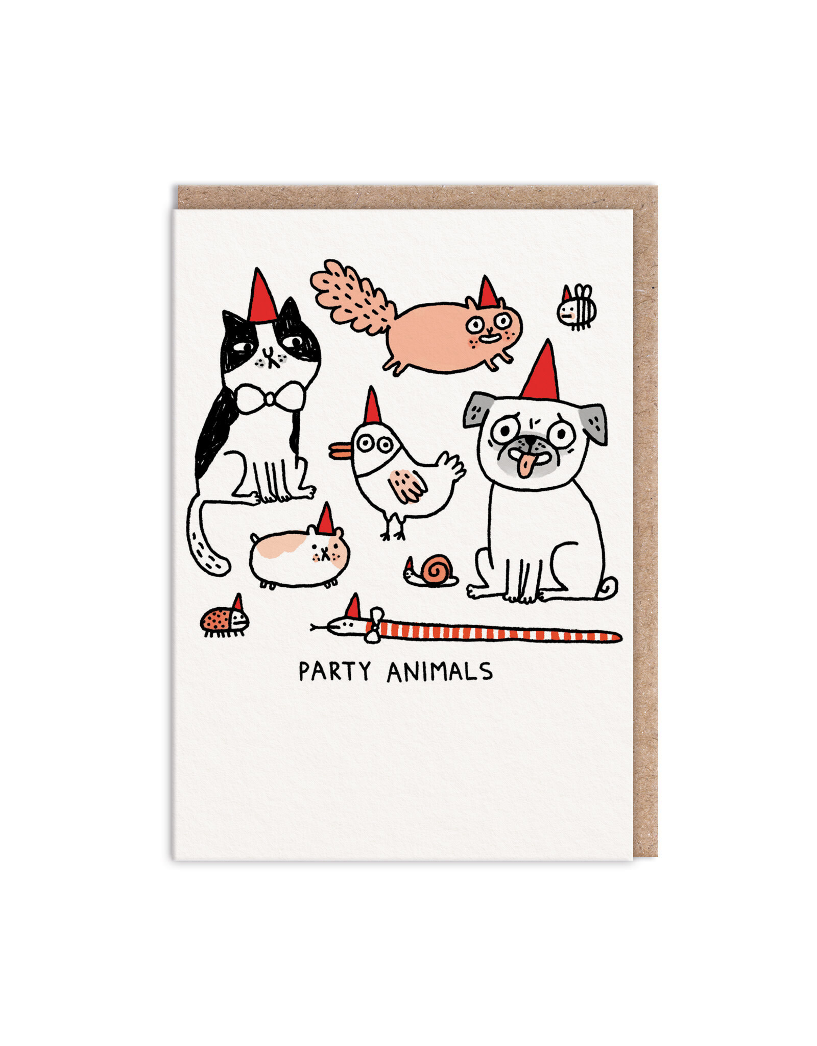 Birthday - Party Animals