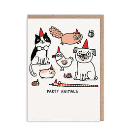 Birthday - Party Animals