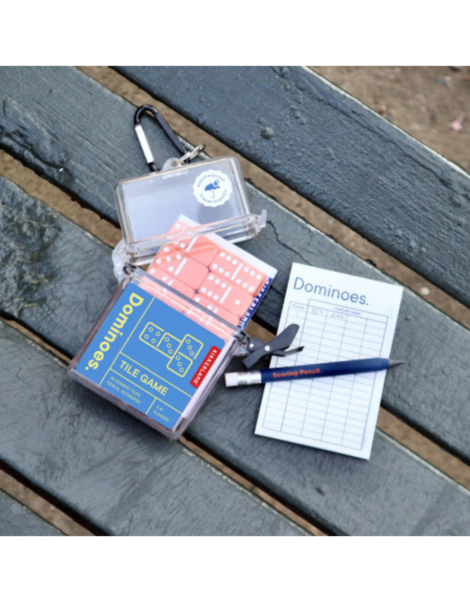Dominoes Travel Game
