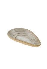 Clam Shell Catchall Lrg
