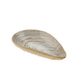 Clam Shell Catchall Lrg
