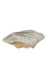 Oyster Shell Catchall Dish