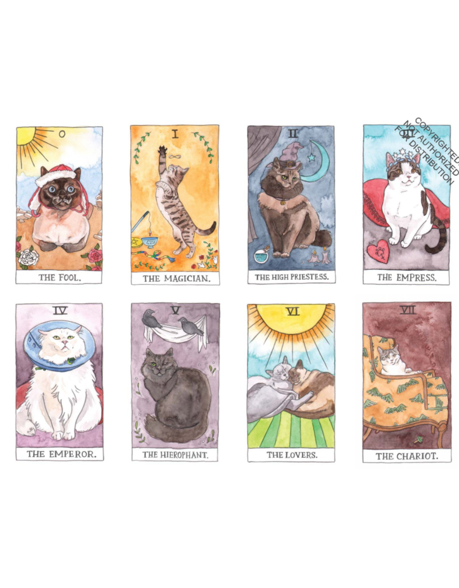 Cat Tarot Cards