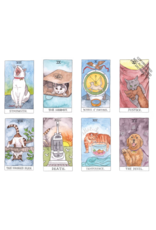 Cat Tarot Cards