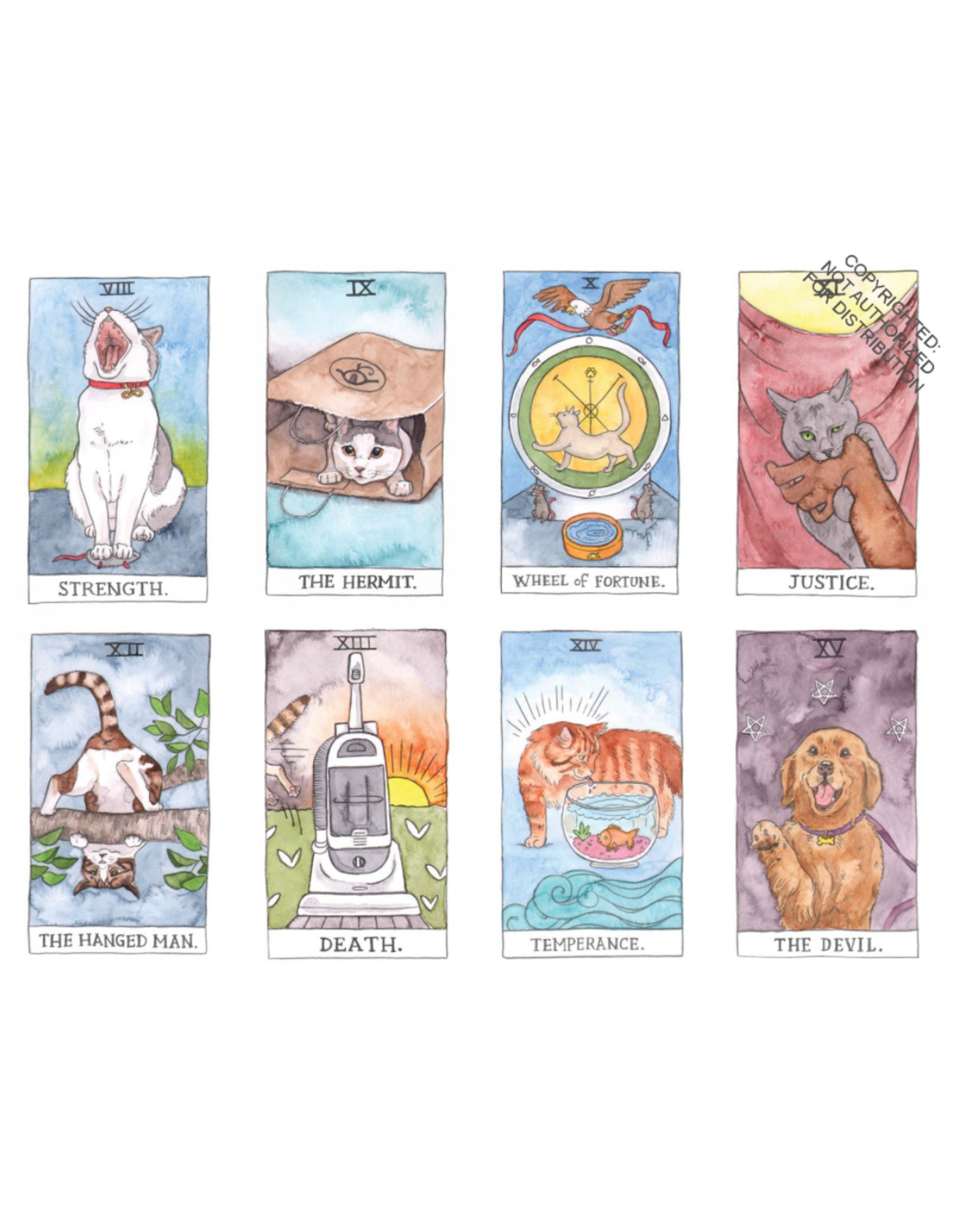 Cat Tarot Cards