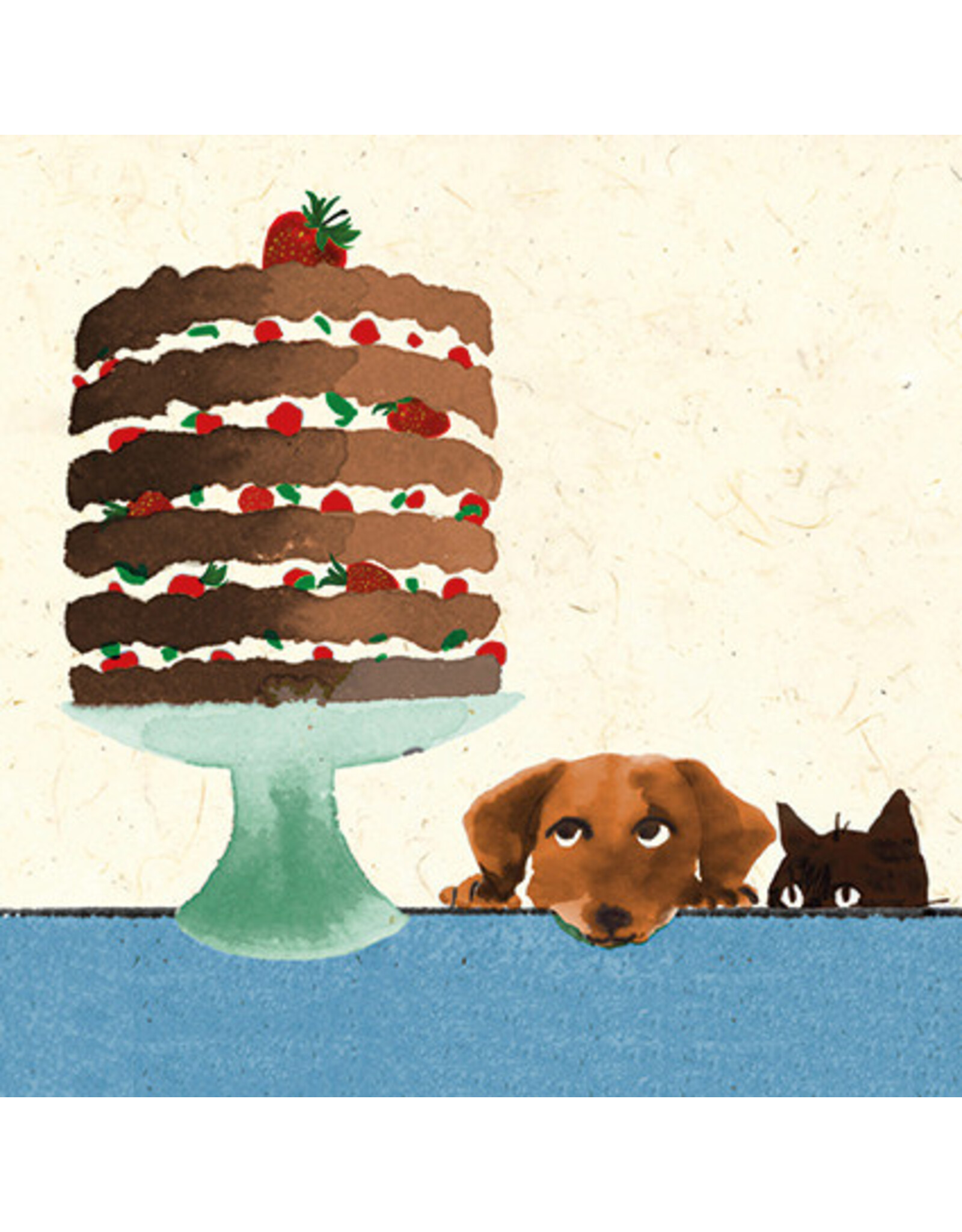 Birthday - Longing Looks