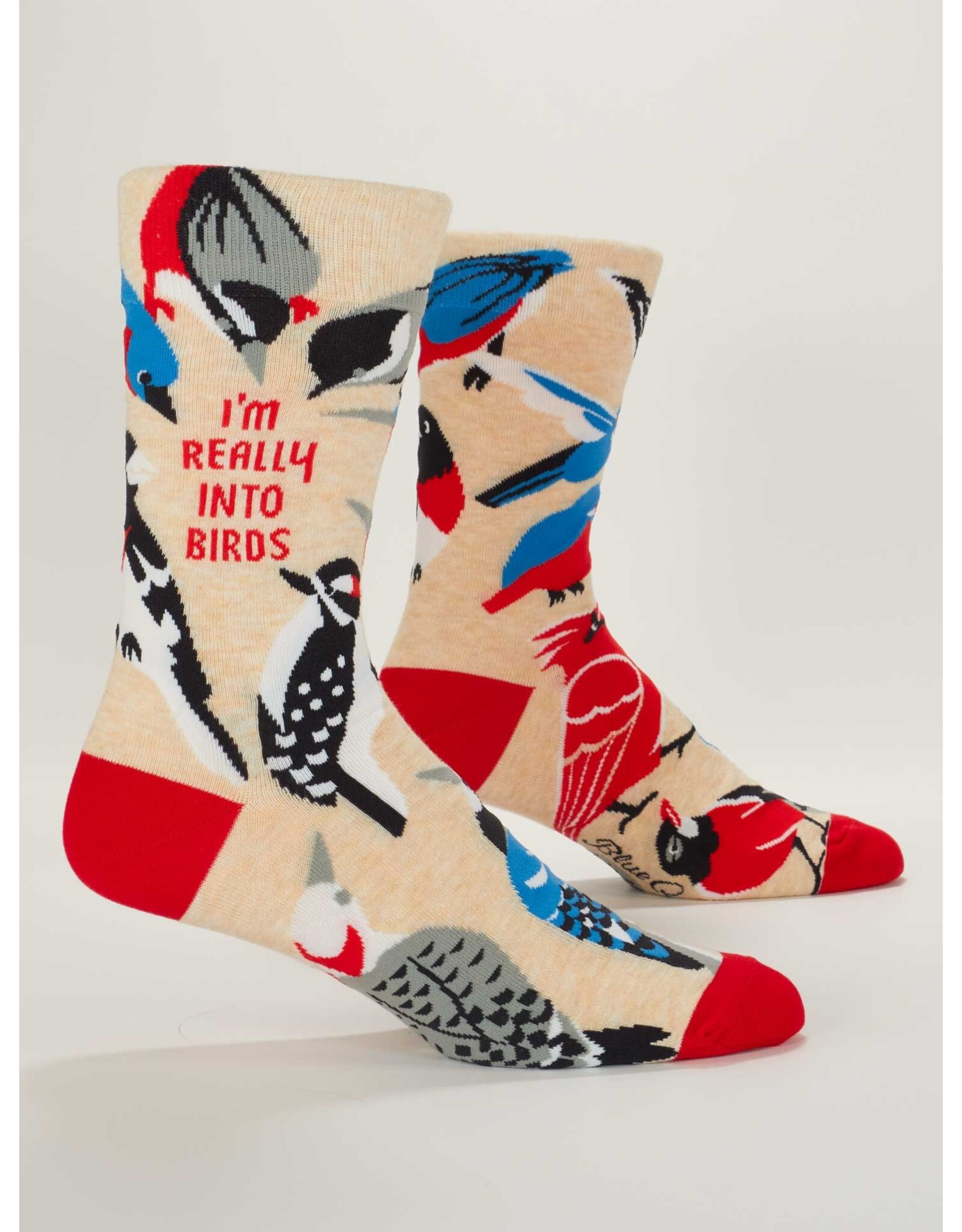 BQ Men's Sassy Socks - Really Into Birds
