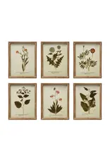 Wood Framed Glass Wall Décor w Botanicals