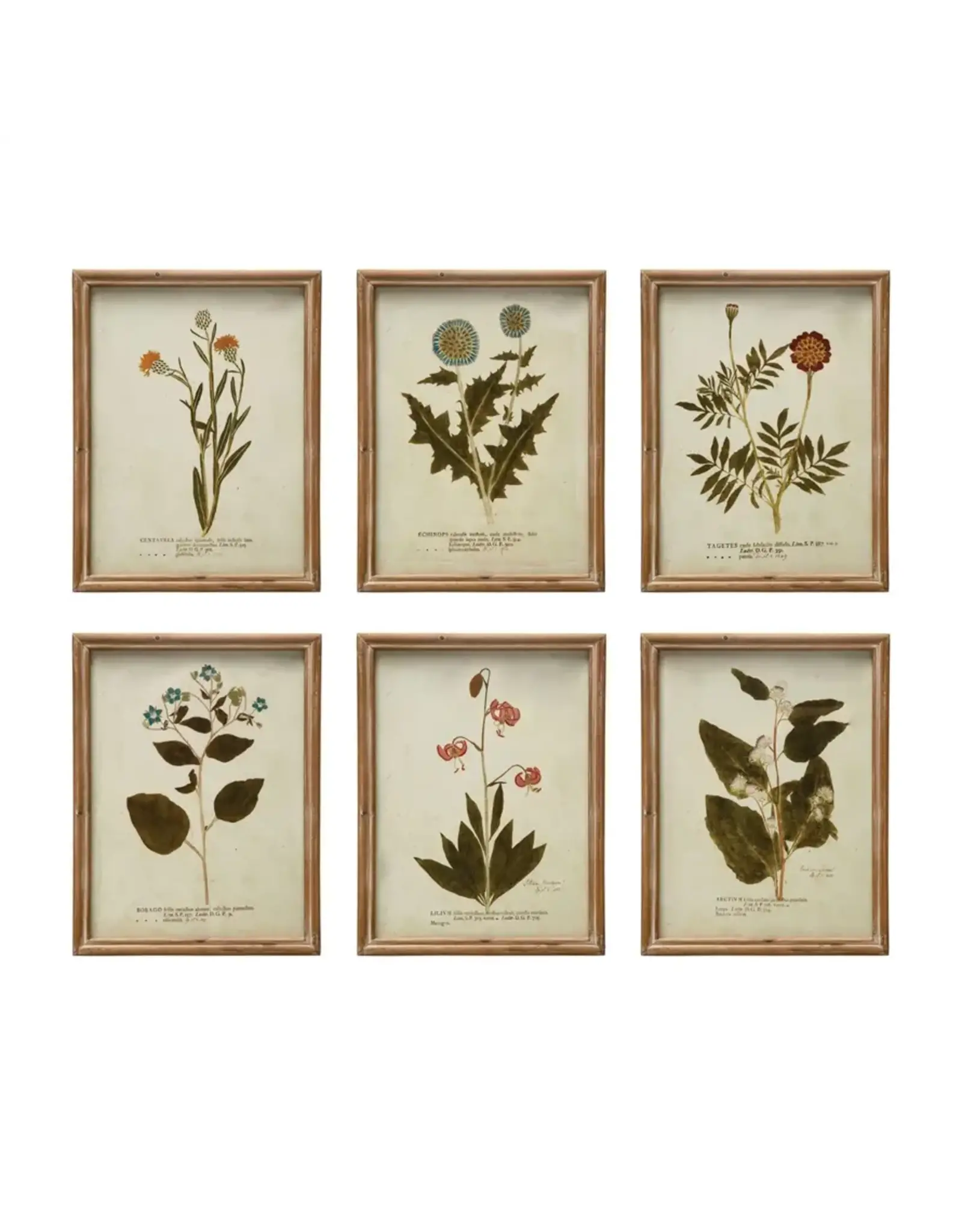 Wood Framed Glass Wall Décor w Botanicals