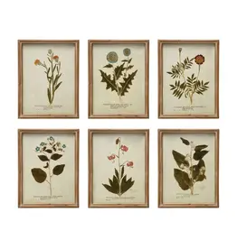 Wood Framed Glass Wall Décor w Botanicals