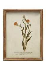 Wood Framed Glass Wall Décor w Botanicals