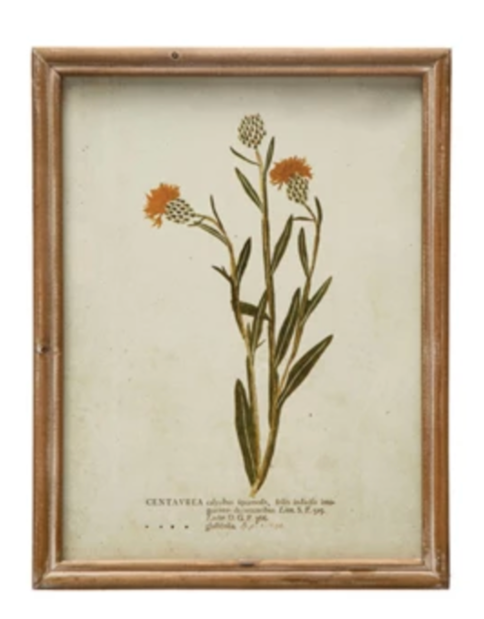 Wood Framed Glass Wall Décor w Botanicals