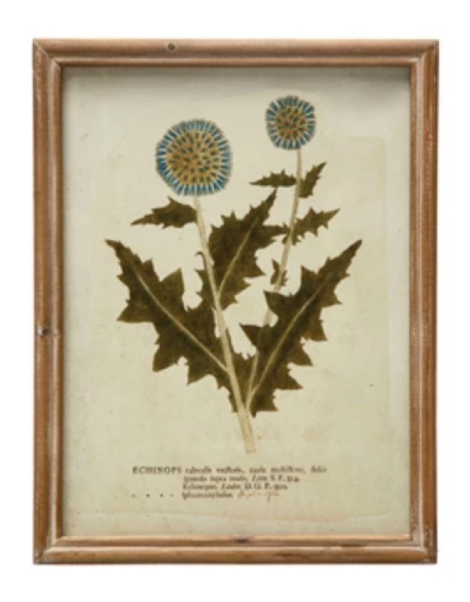 Wood Framed Glass Wall Décor w Botanicals