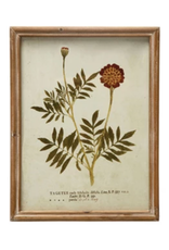 Wood Framed Glass Wall Décor w Botanicals