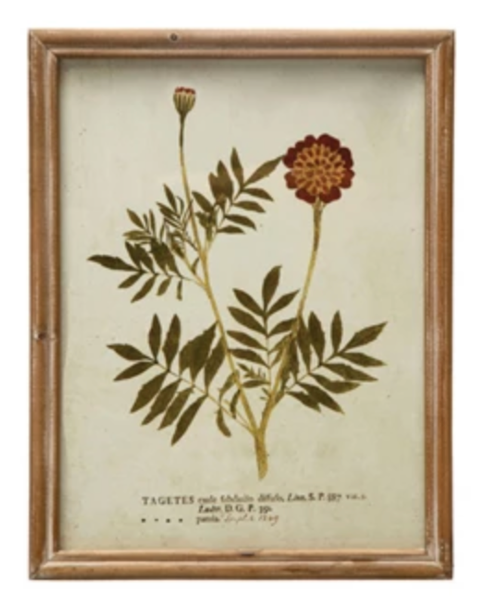 Wood Framed Glass Wall Décor w Botanicals