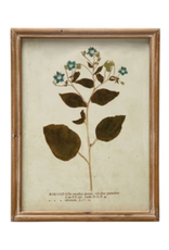 Wood Framed Glass Wall Décor w Botanicals