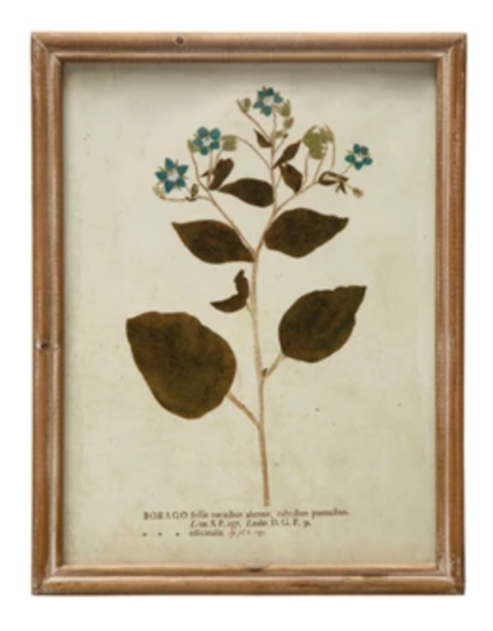Wood Framed Glass Wall Décor w Botanicals