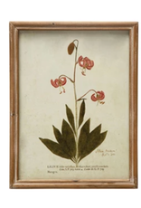 Wood Framed Glass Wall Décor w Botanicals