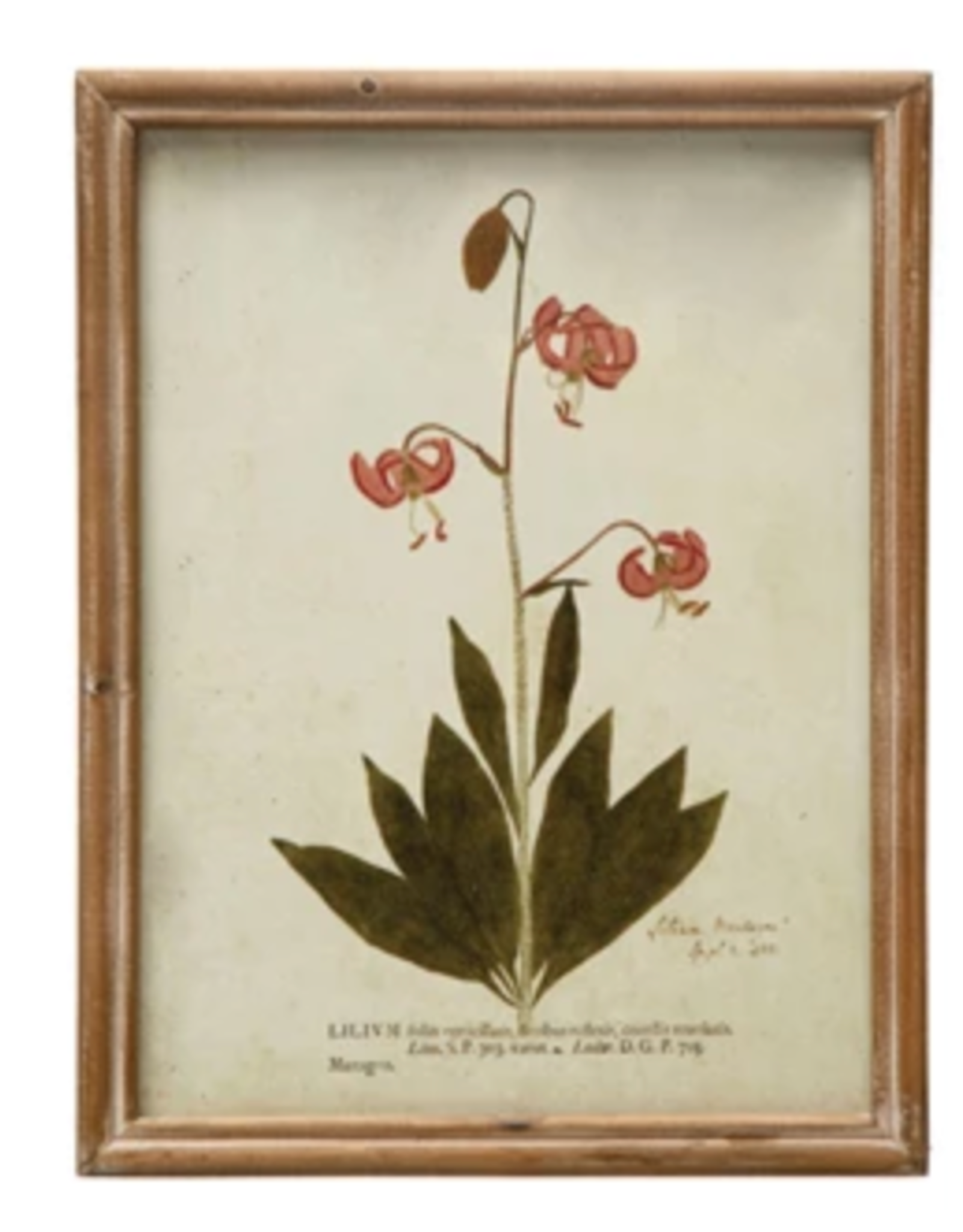Wood Framed Glass Wall Décor w Botanicals