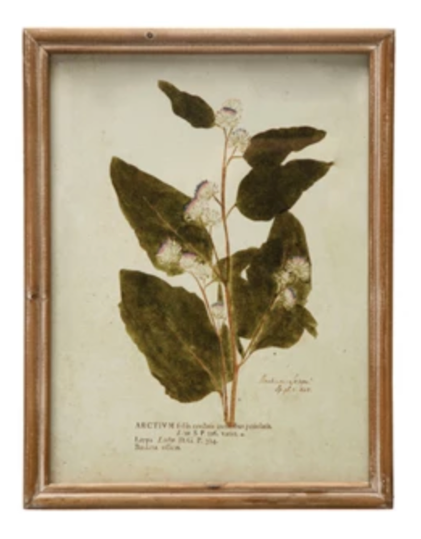 Wood Framed Glass Wall Décor w Botanicals