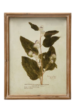 Wood Framed Glass Wall Décor w Botanicals