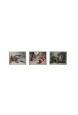 Still Life Wall Decor -